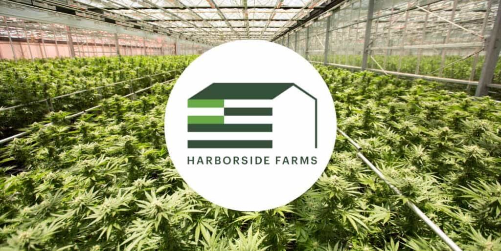 Harborside-Farms-Blog-Cover