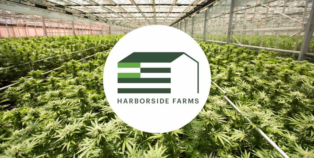 Harborside-Farms-Blog-Cover