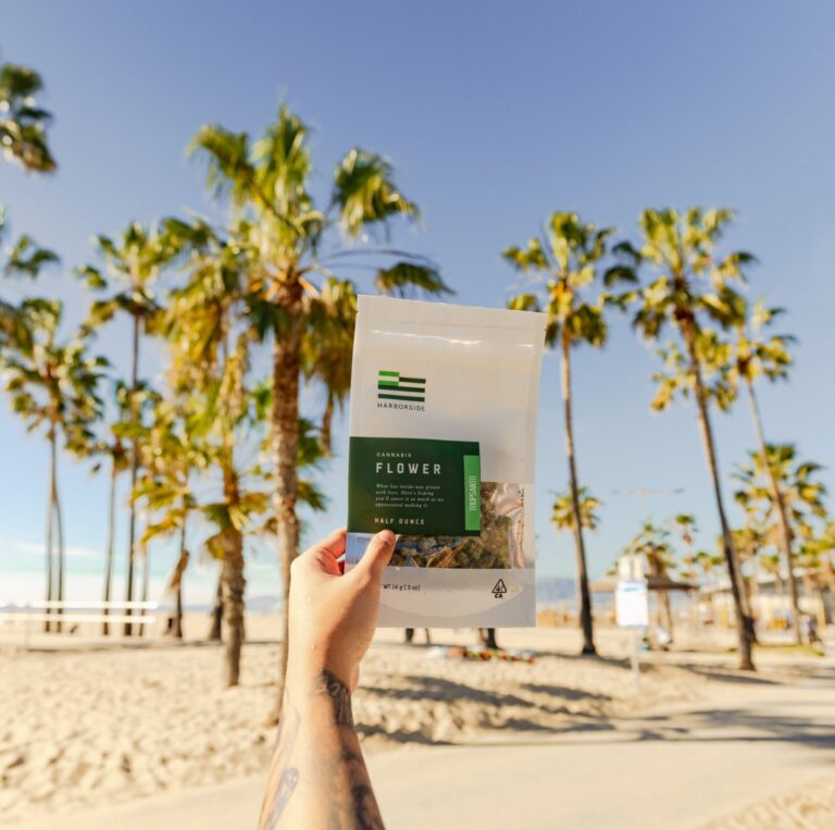 haq2sorJDPQ9u8J5cGcbrYlmswMZAlJxHRCniHb34eg - Harborside A tattooed hand holds a package labeled “Premium Flower” in front of palm trees on a sunny beach. haq2sorJDPQ9u8J5cGcbrYlmswMZAlJxHRCniHb34eg