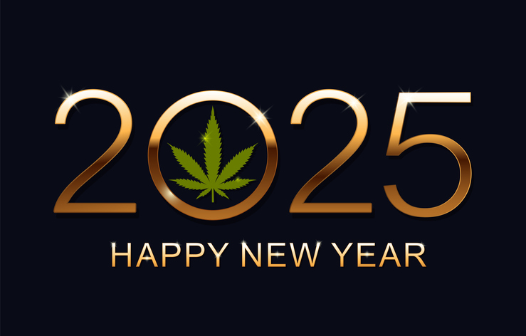  Happy New Year 2025 Greeting Card New Year background with marijuana leaf Happy New Year 2025 Greeting Card New Year background with marijuana leaf