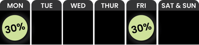  WYLD-Calendar-e1738705676740png