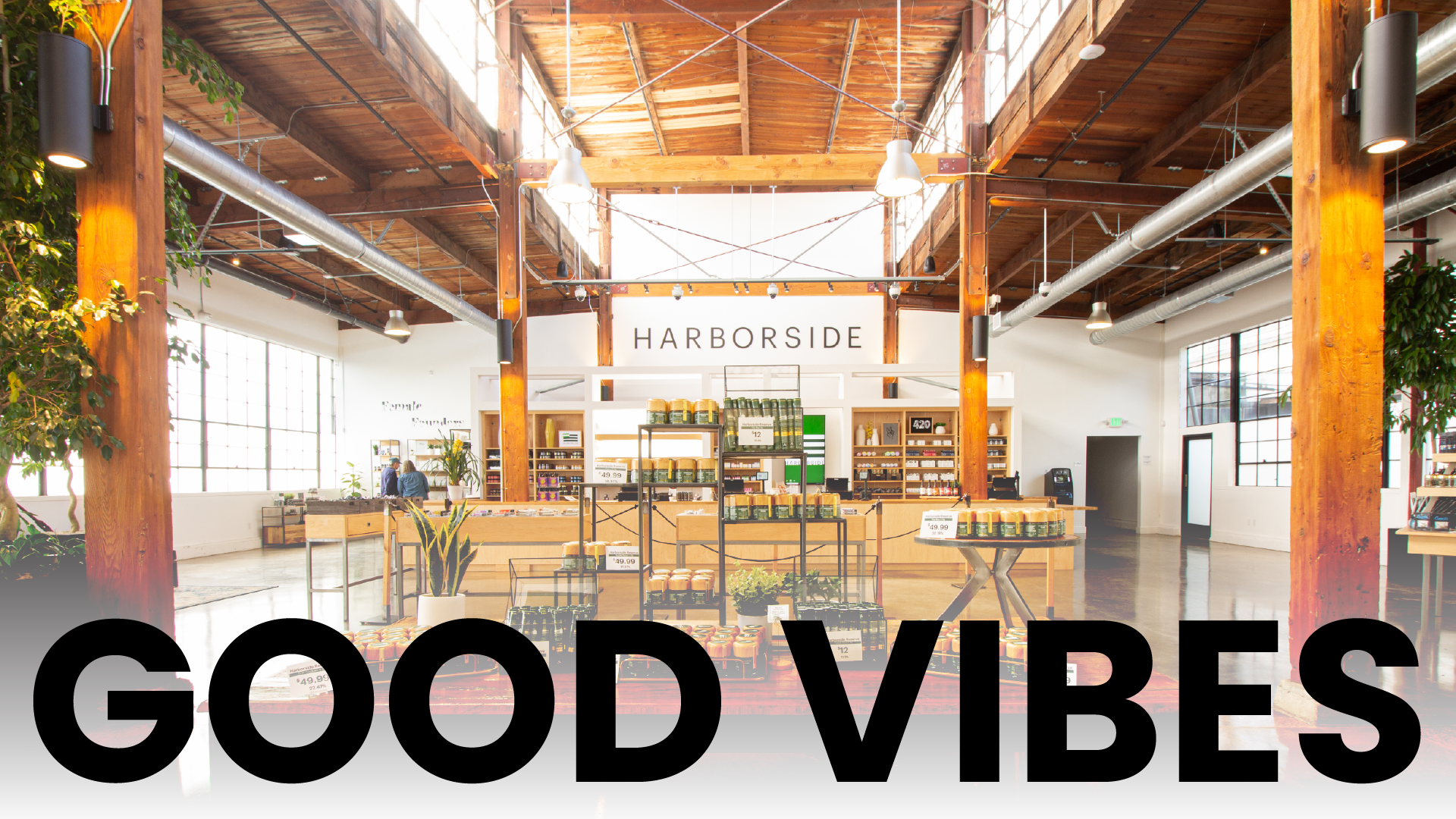 Good Vibes at Harborside Storefront 4125 Harborside Blog Image