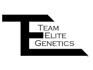 Large black stylized letter "E" with the words "Team Elite Genetics" written inside the letter on a white background. Team-Elite-Logopng
