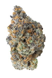 A close-up of a single cannabis bud showing green, purple, and orange hues with visible trichomes. asset-1webp