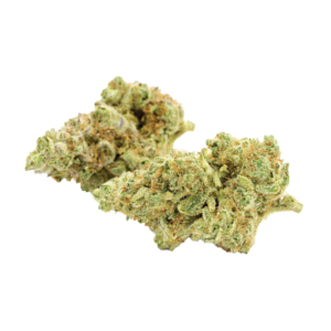  Flowerpng