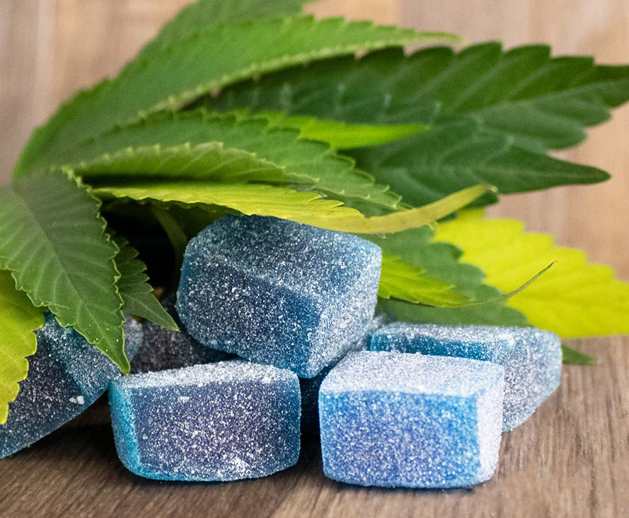 Blue Weed Gummy Edibles on Display Urbn-Leaf-Edibles