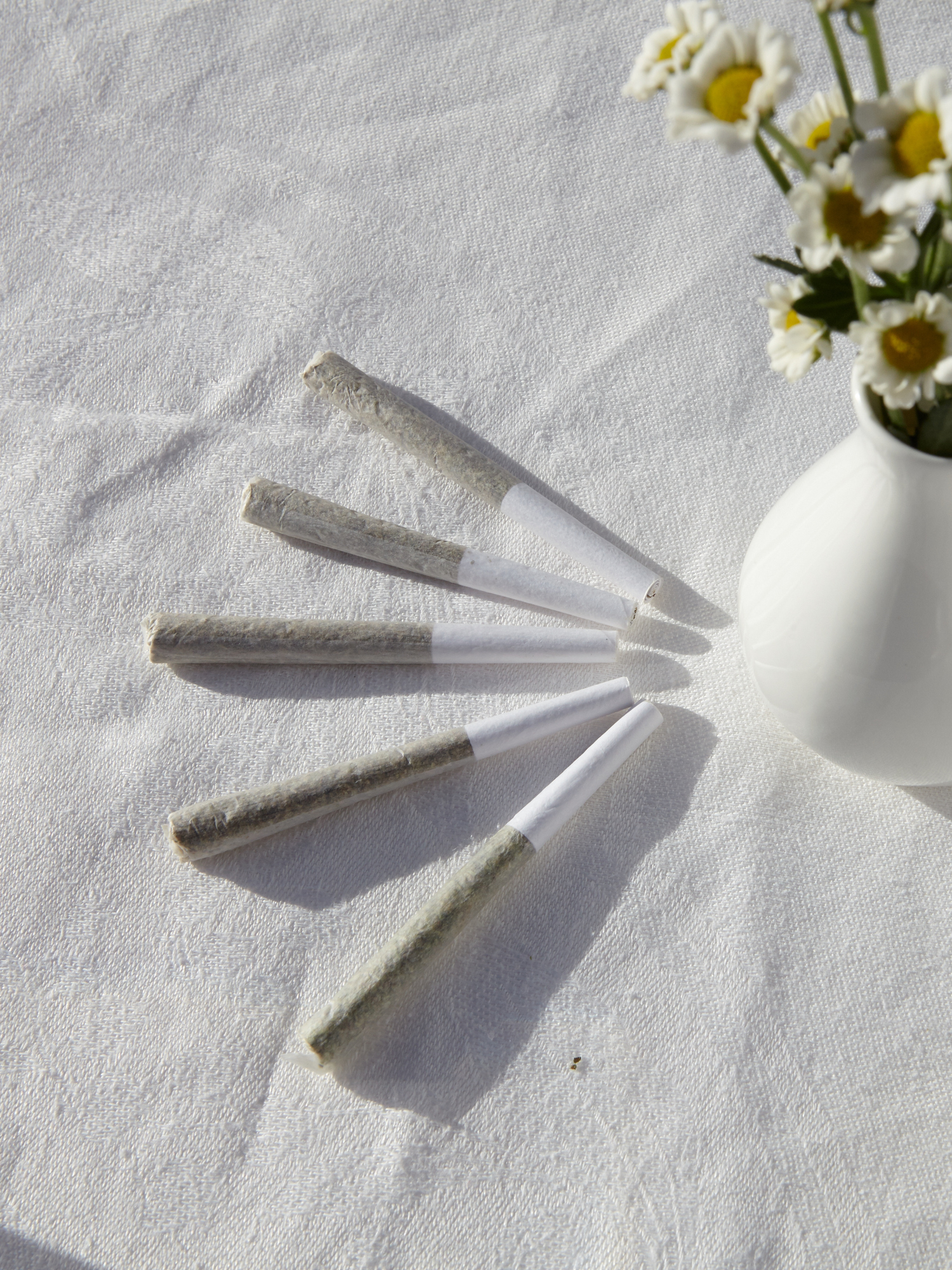 Prerolls and Flower Vertical high angle shot of marijuana blunts and a vase of chamomiles on a white surface