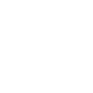 Bosky - Harborside Bosky