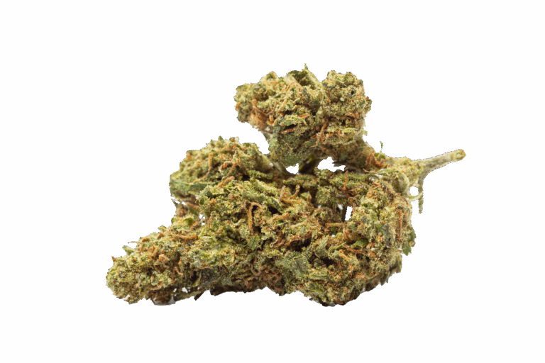  Bud-on-Transparent-5png